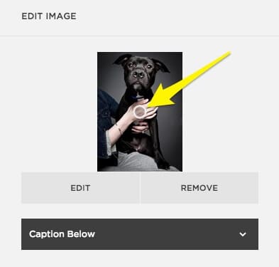 Recadrer le ‘point focal’ d’une image dans Squarespace.