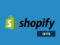 Shopify avis (vidéo)