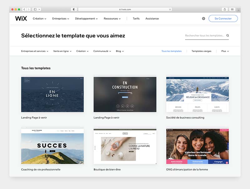 Le plan « Light » est un bon choix si vous créez un site web pour une petite entreprise dont l'objectif principal est de transmettre des informations plutôt que de vendre des produits.