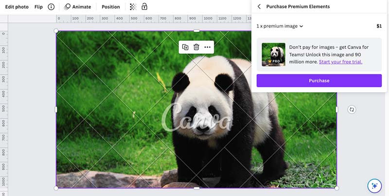 Acheter une image premium en utilisant la version gratuite de Canva