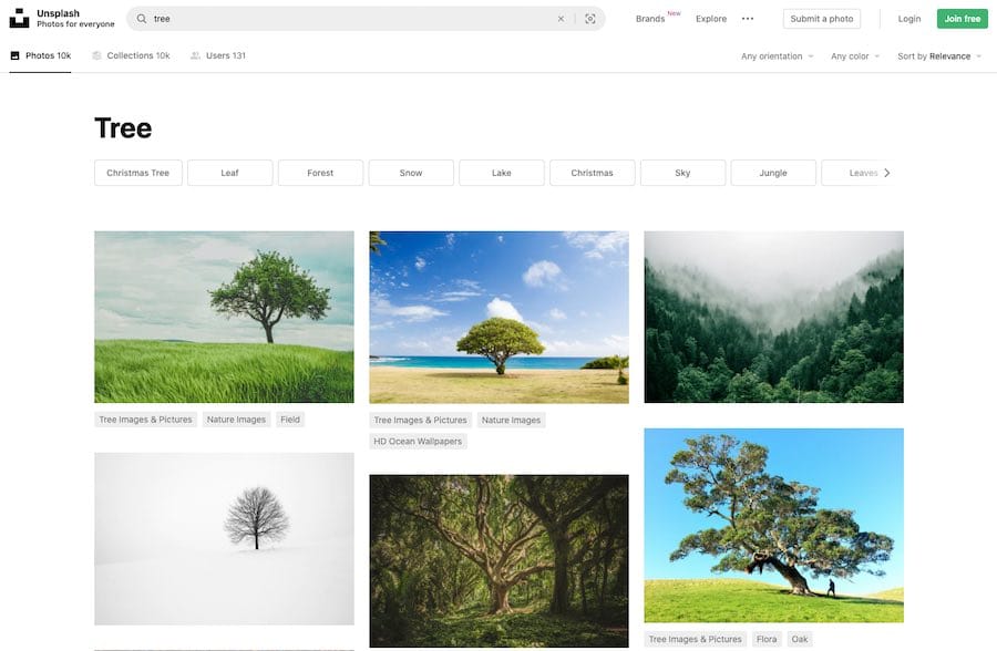 Royalty-free image sites like Unsplash can help you source good images for your blog posts.