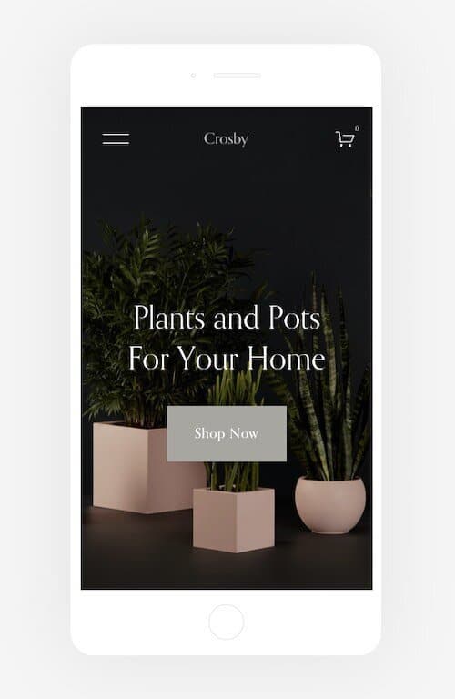 A fully-responsive Squarespace template — these display great on smartphones, and automatically too.