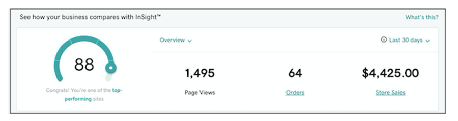 The GoDaddy 'Insights Dashboard'