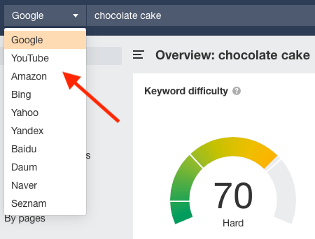 Unlike Semrush, Ahrefs lets you get data for a large number of search engines (Semrush only provides data from Google).