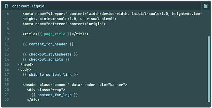 The Shopify 'checkout.liquid' file