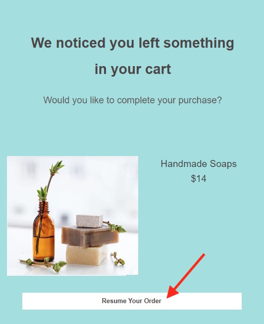 Example of a Wix abandoned cart saving email