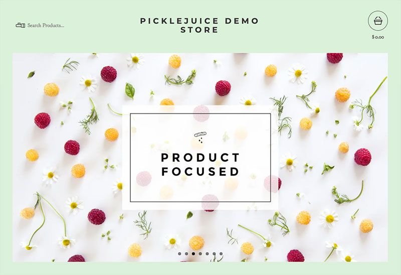 Big Cartel's "Picklejuice" theme
