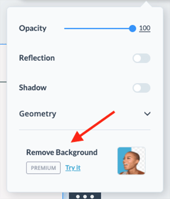 Background removal is only available as a premium feature on both Visme and Canva