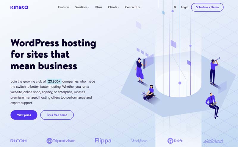 The Kinsta hosting service