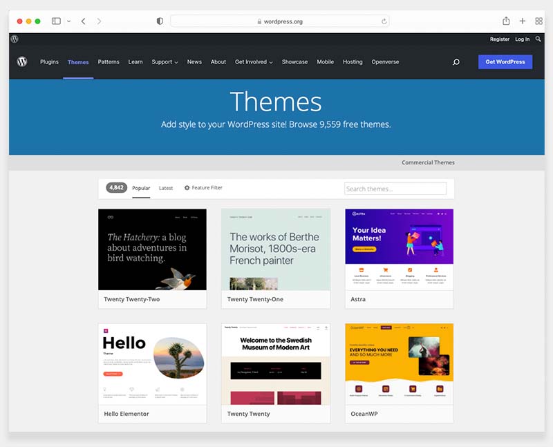 The WordPress theme directory