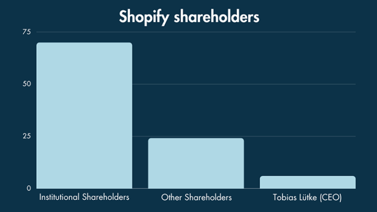 Bar chart highlighting the different type of Shareholders and how much of the company's shares they own.
