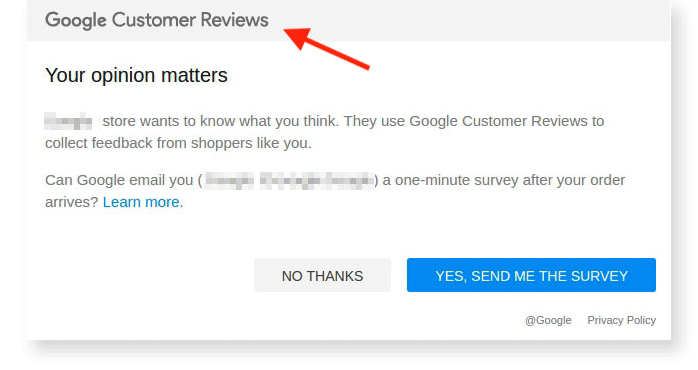 Google Customer reviews email.