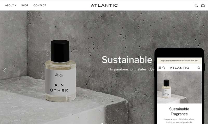 A Shopify template.