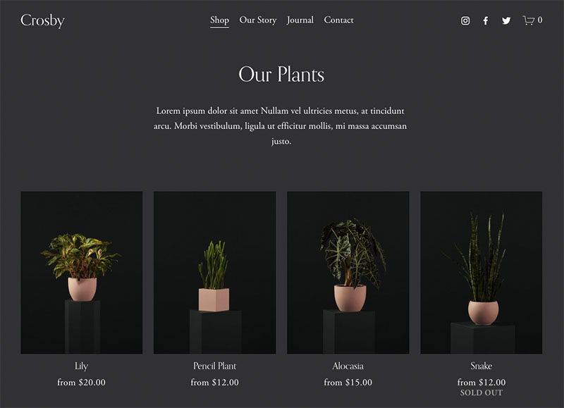 Squarespace's 'Crosby' ecommerce template.