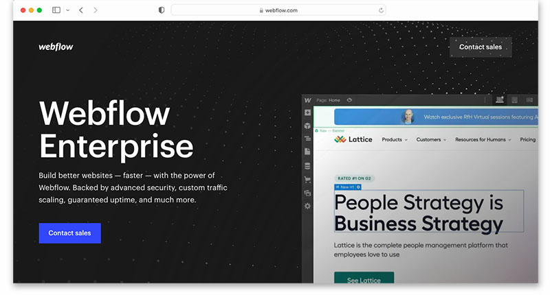 The 'Webflow Enterprise' product.
