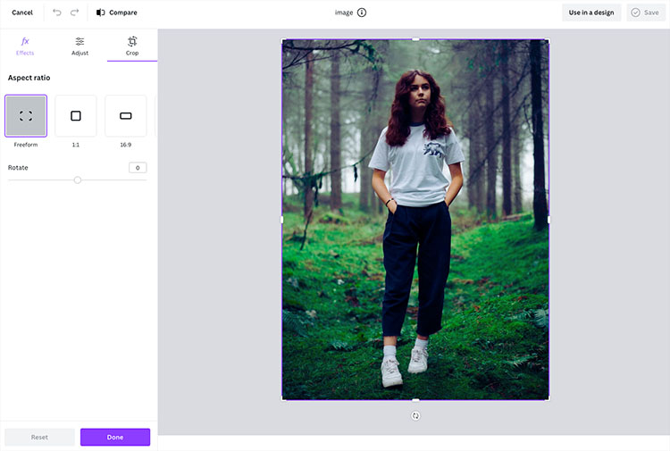 The Canva 'modal photo editor'