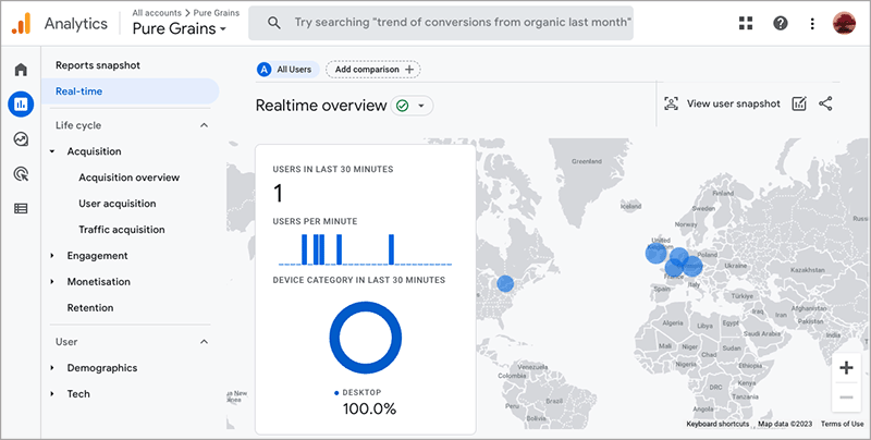 Google Analytics 'real-time overview'.