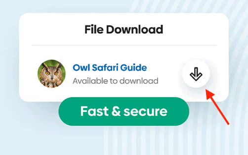 The SendOwl digital downloads app.