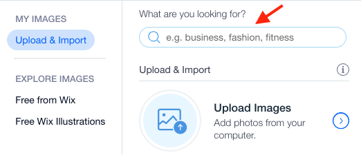 Wix media manager 'what are you looking for?' search box.