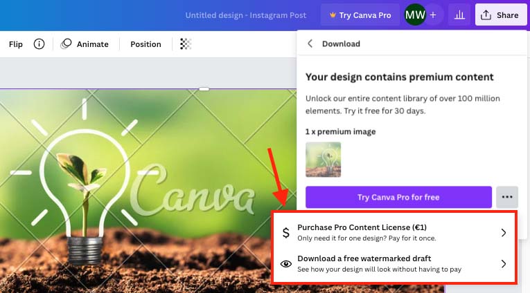 Purchasing a one-time license for a premium asset in Canva.
