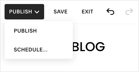 The publishing options for a Squarespace blog.