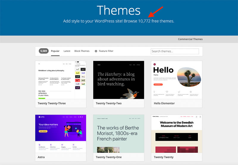 The WordPress theme directory.