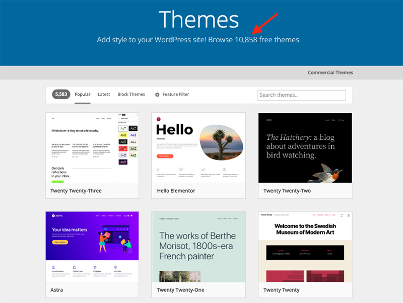 The WordPress theme directory