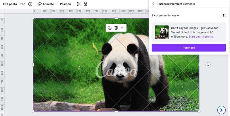 Purchasing a premium image while using the Canva free trial