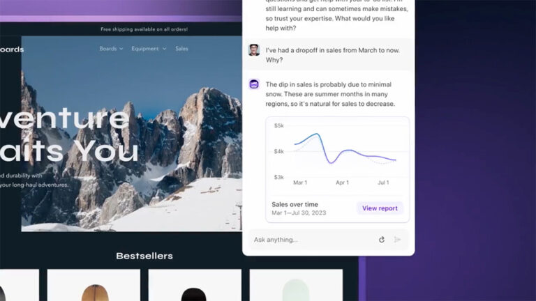 A still from the Shopify sidekick demo where a Shopify merchant asks the tool to explain a drop in sales