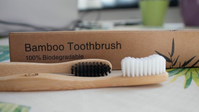 Biodegradable toothbrush (example of a sustainable product)