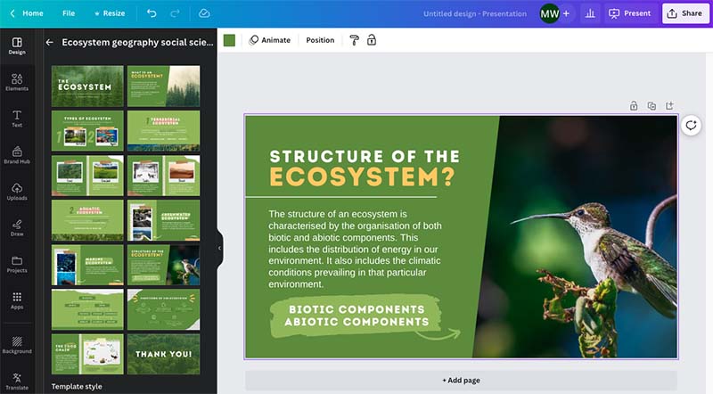 A Canva presentation template on the topic of the ecosystem.