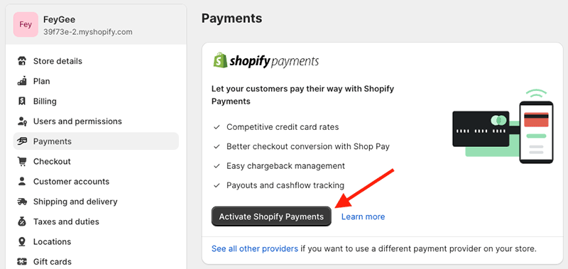 Setting up Shopify Payments