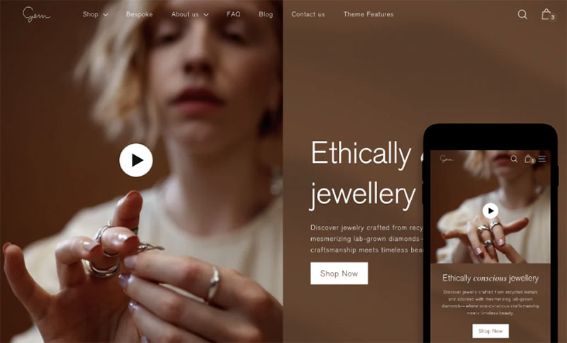 Example of a Shopify theme