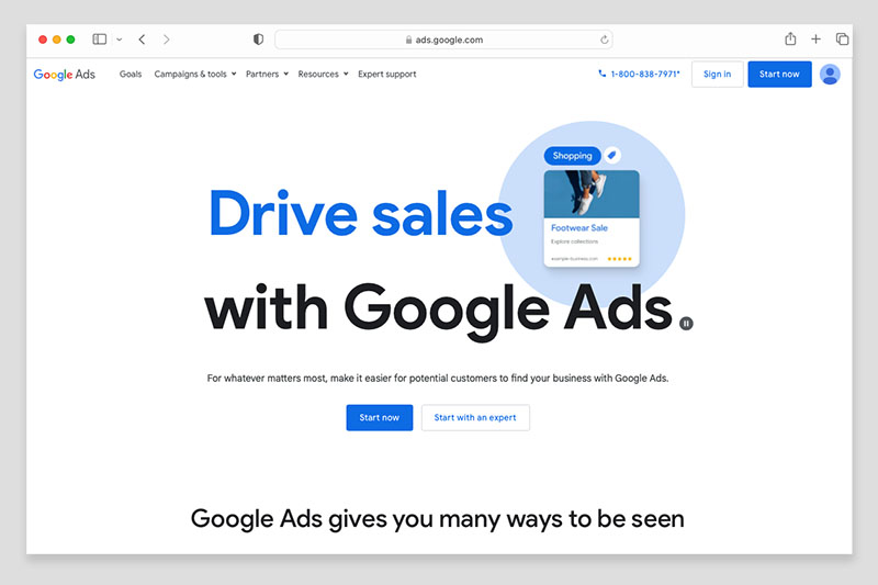 The 'Google Ads' advertising platform.