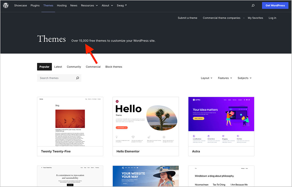 WordPress themes