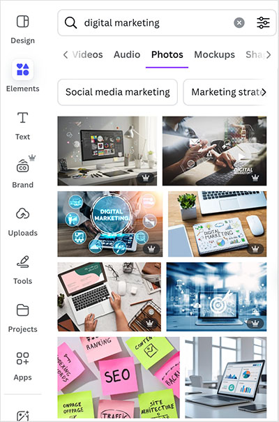 Canva Pro comes with a very large library of stock photos.