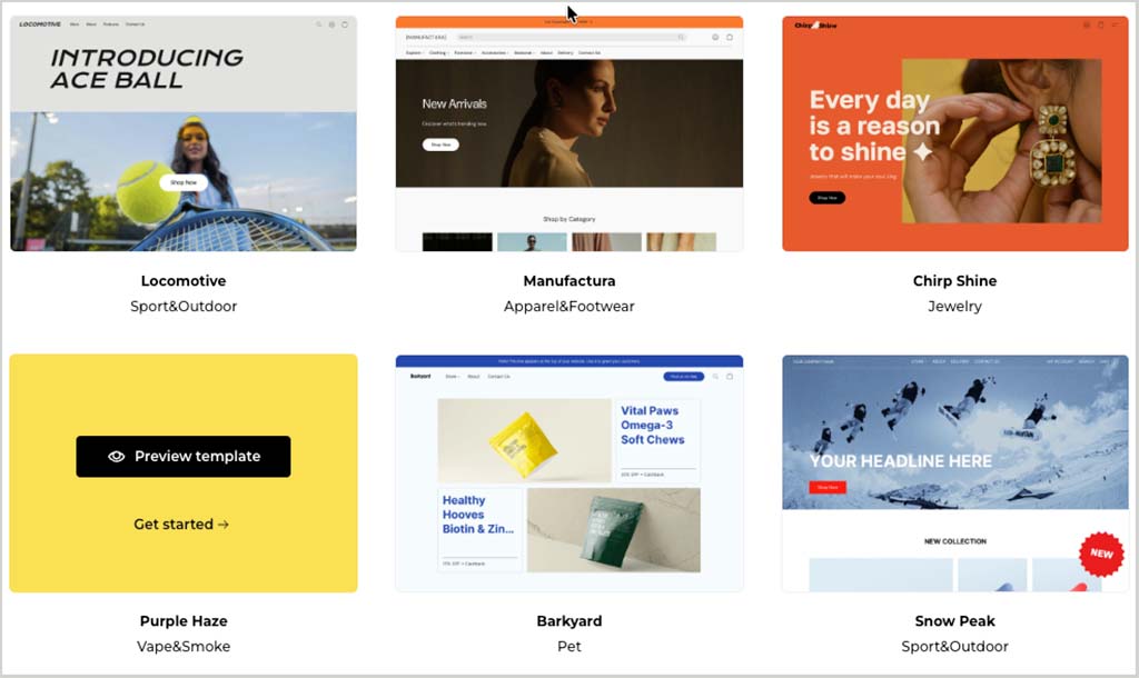 Some of the 'Instant Site' themes currently available from Ecwid