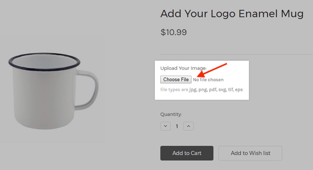 The 'file upload' option in BigCommerce