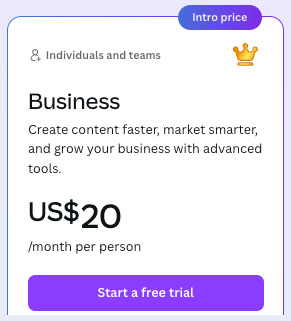 'Canva Business' monthly pricing per person
