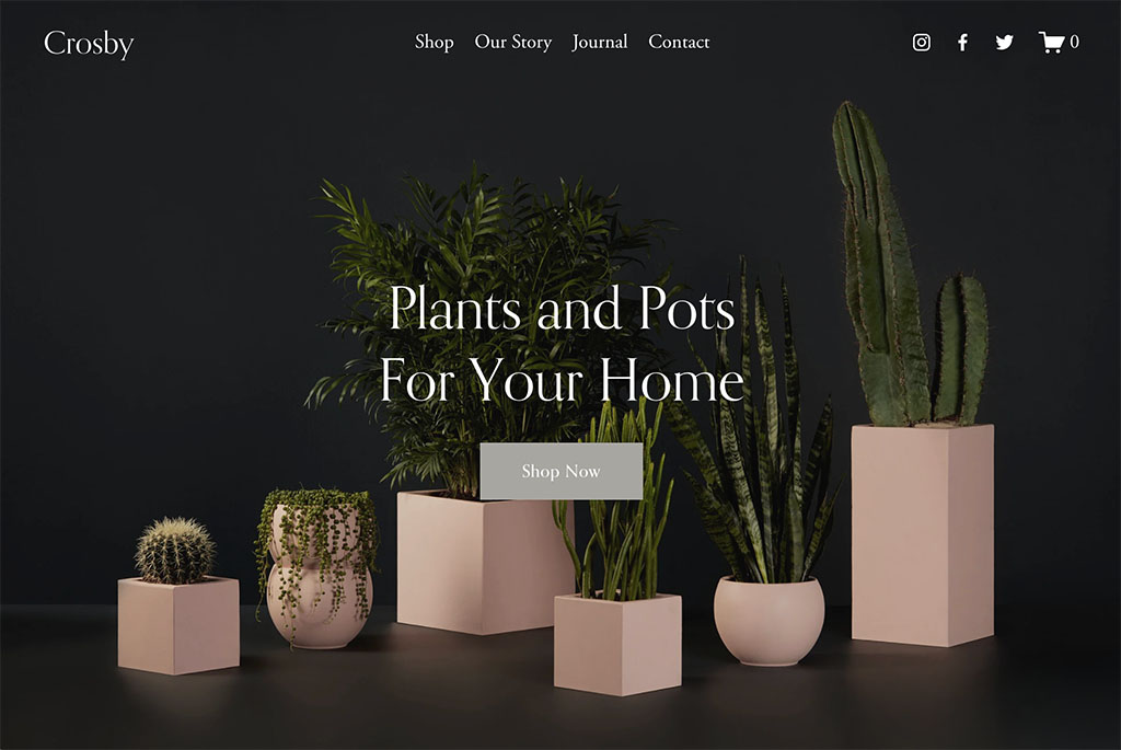 Squarespace's 'Crosby' template