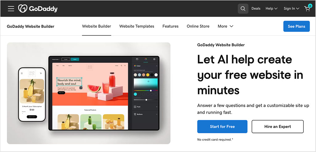 GoDaddy Websites web page.