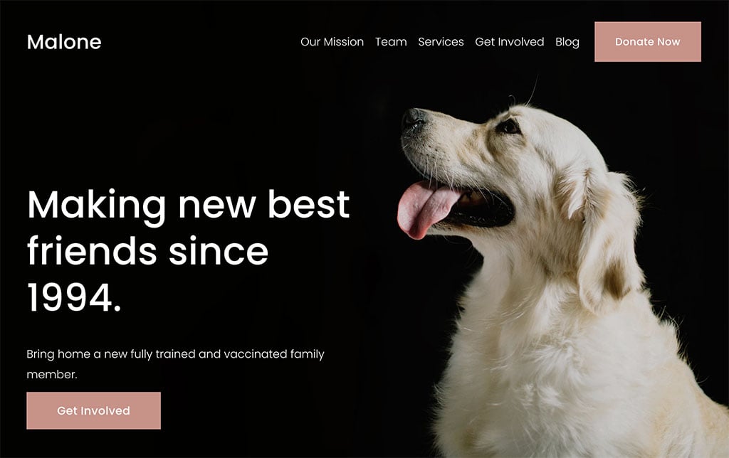Squarespace's 'Malone' template