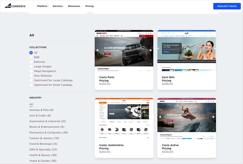 WooCommerce theme store.
