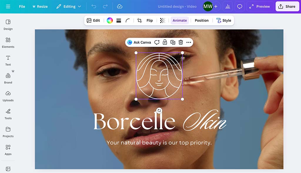 Styling controls in Canva.