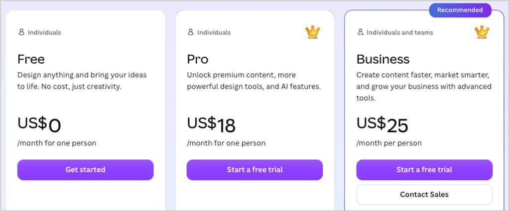 Some of the presentation sharing options available in Canva