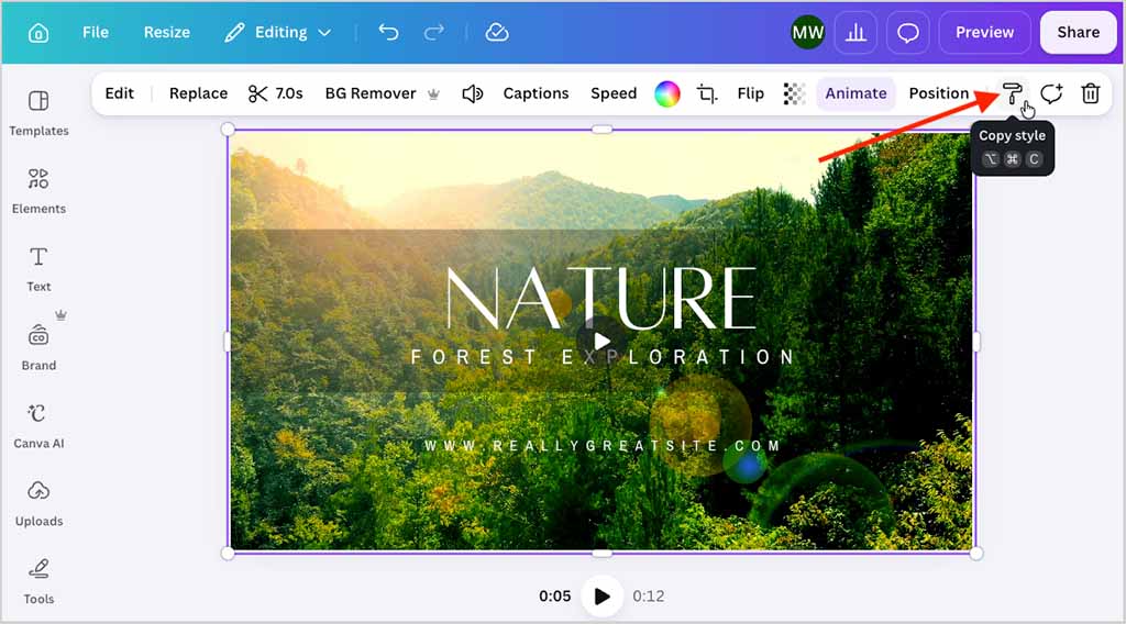 Canva' comes with a handy's 'copy style' tool