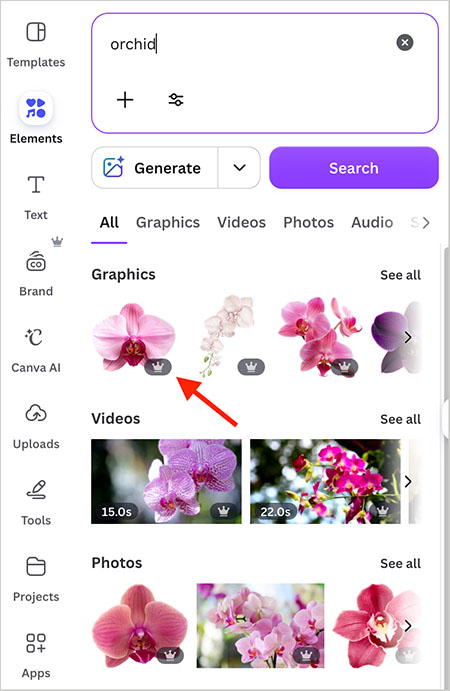 Canva stock assets in the 'Elements' panel