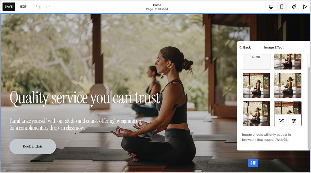 Applying effects to images in Squarespace