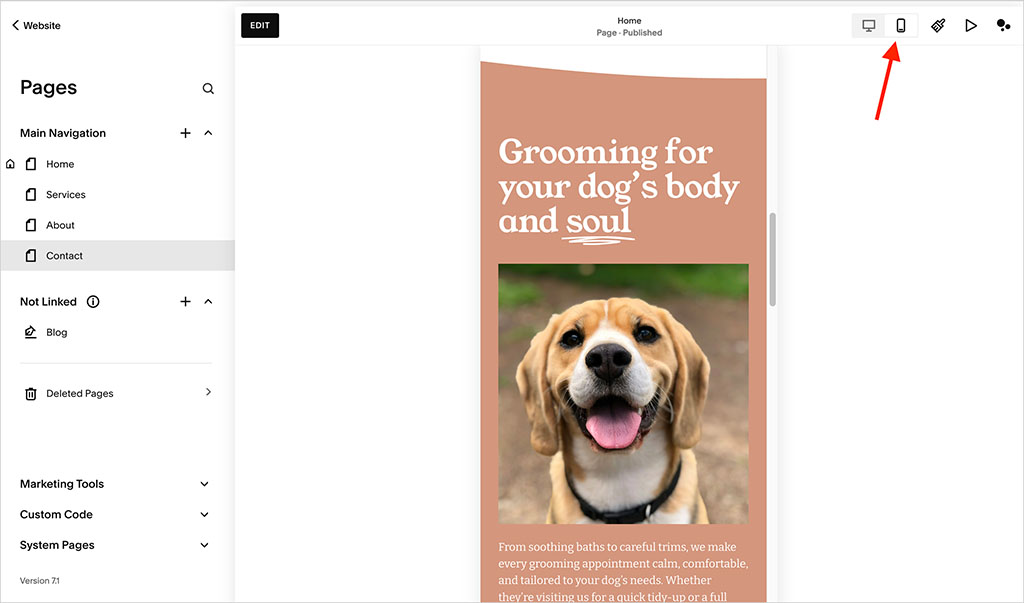 Accessing the mobile version of my site